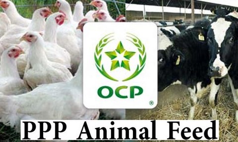 PPP Animal Feed