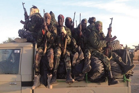 Boko haram milices