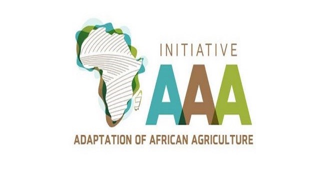 Initiative Triple A : Une réponse aux défis alimentaires de l’Afrique