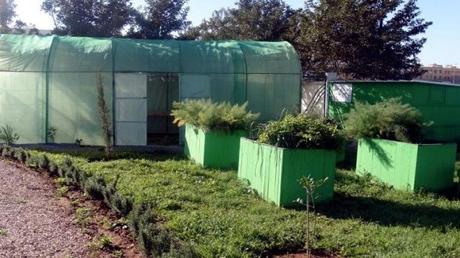 Agriculture urbaine : Un espace expérimental à Médiouna