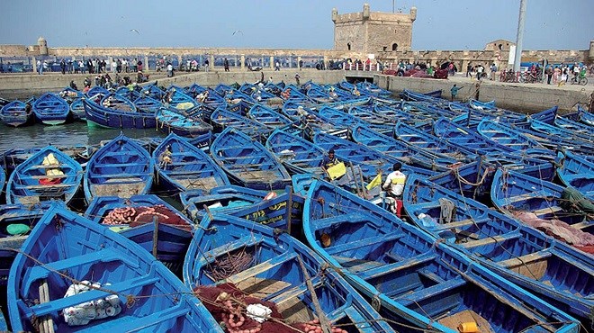 Pêche maritime : Le projet des «puces électroniques» est-il légal ?