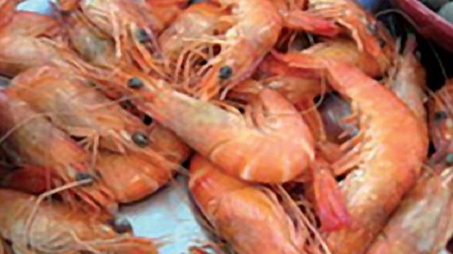 Plan d’aménagement des pêcheries de crevettes : Les textes d’application bientôt au parlement