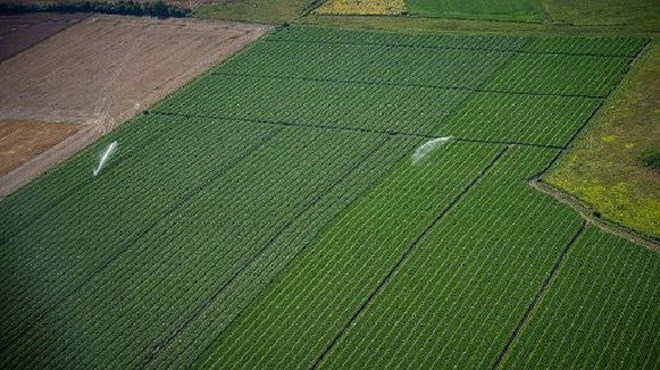 Fès-Meknès : Les perspectives de l’agriculture durable