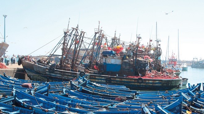Accord de pêche Maroc-UE : L’autre gifle de Bruxelles