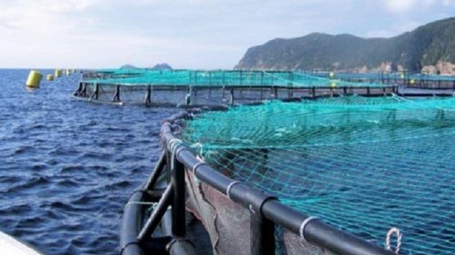 Aquaculture : L’ANDA lance deux appels à manifestation d’intérêt