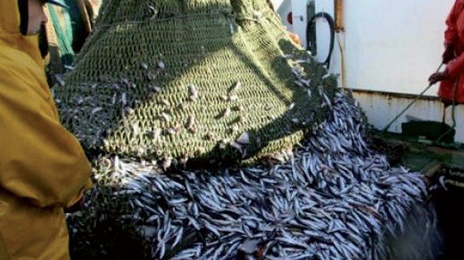 Maroc-UE : Accord de pêche, les négociations relancées…