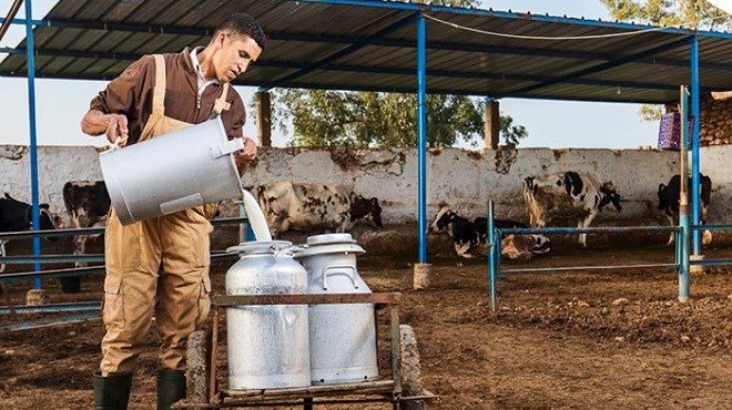 COMADER : La filière laitière au centre des travaux de l’AG