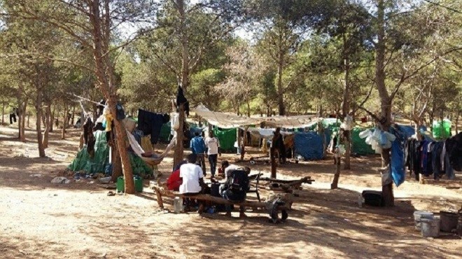 Reportage : De quoi rêvent les migrants dans la forêt de Nador ?