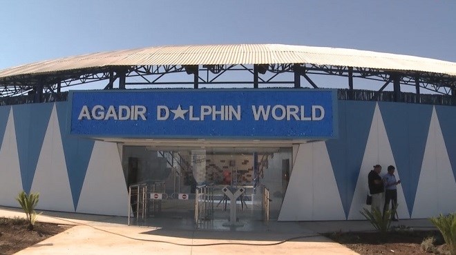 Agadir Dolphin World : Le delphinarium vient d’ouvrir ses portes (Vidéo)
