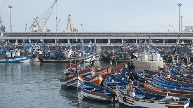 Ports de pêche : L’ONP n’est plus le seul global Operator des ports