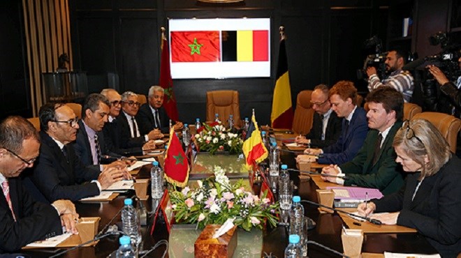 Habib El Malki s’entretient avec le ministre flamand de la culture