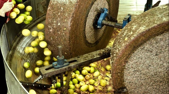 Taounate : Dix unités de trituration d’olives interdites d’exercer