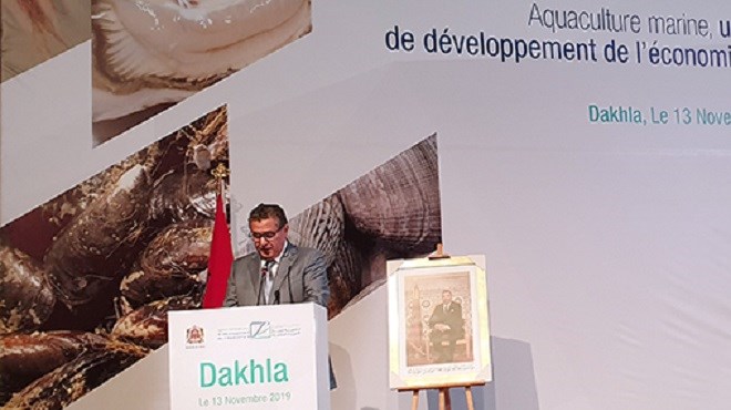 La région de Dakhla-Oued Eddahab s’accapare 60 % de la production aquacole nationale (Akhannouch)