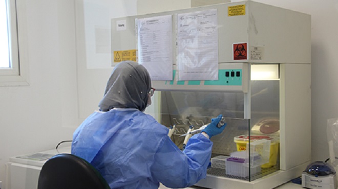 Tanger-Tétouan-Al Hoceima/ COVID-19 | 1.907 tests effectués en 24h, 4 nouveaux cas confirmés