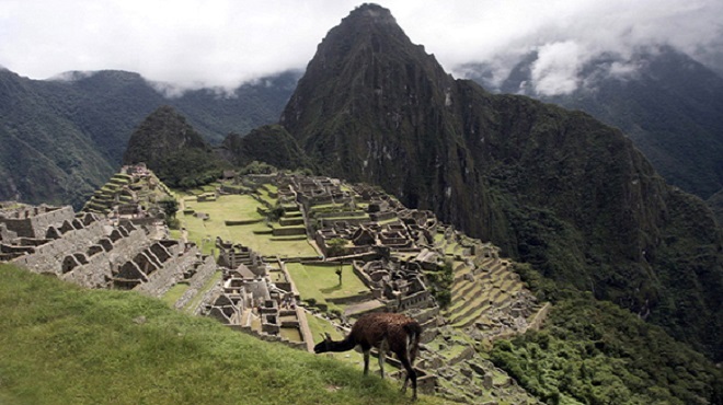 Pérou | Rencontres en visioconférence autour de la Semaine de biodiversité