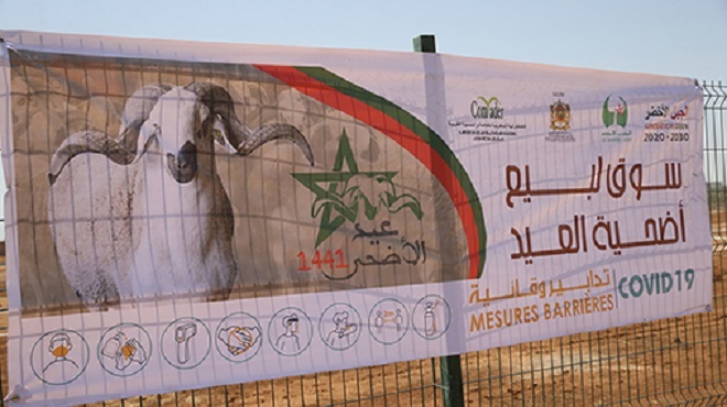 Aid Al Adha | 36 marchés à bétail aménagés dans la région de Fès-Meknès