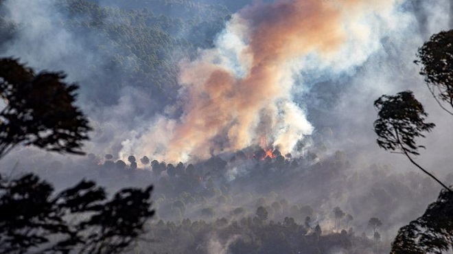 Huelva feux de forêt des Espagnols évacués par milliers