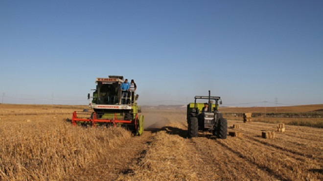 Campagne céréalière 2019-2020