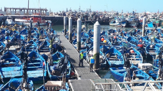 Covid-19 Opération de désinfection du port d'Essaouira