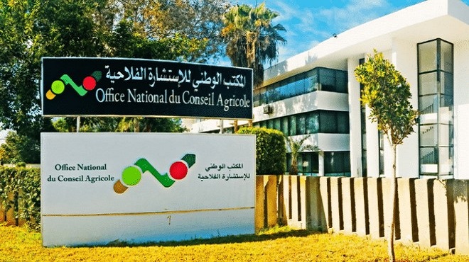 Office National Du Conseil Agricole Onca