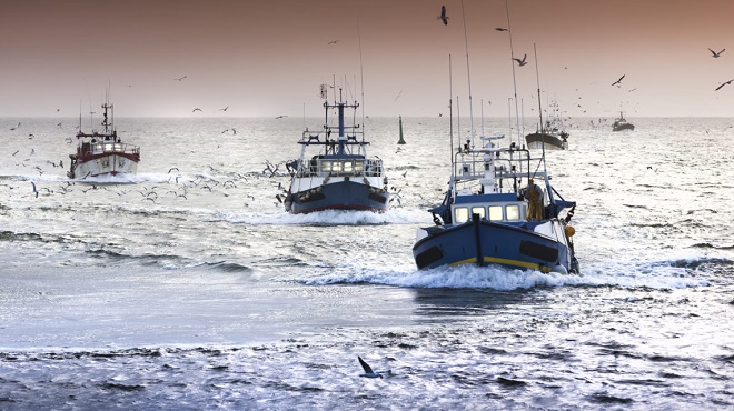pêche côtière et artisanale,ONP
