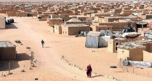 geneve-:-appel-a-la-levee-du-siege-aux-camps-de-tindouf-en-algerie