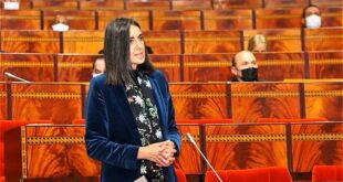 Chambre des représentants | Nadia Fettah met en avant les dimensions essentielles du PLF 2025