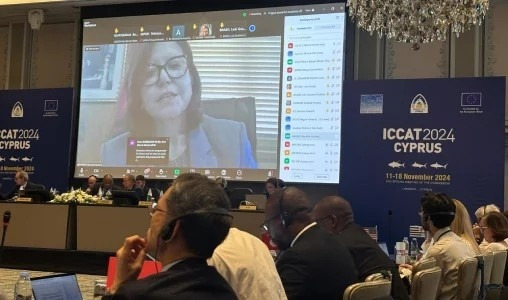 ICCAT 2024 | Le Maroc disposé à contribuer aux efforts collectifs pour rétablir le stock du thon obèse