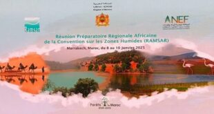 Convention RAMSAR | Focus à Marrakech sur la préservation des zones humides