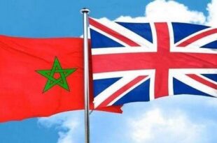 UKFSR 2024 | Le Maroc parmi les plus grands exportateurs de légumes vers le marché britannique